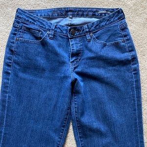 Jag Jeans Blue Medium Wash Stretch Boot Cut Denim